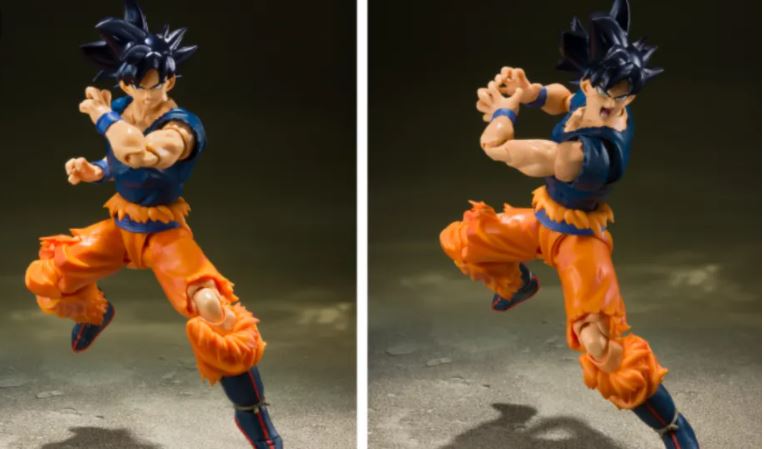 Rare Gokus Possibly Lost At Sea After Major Shipping Accident
