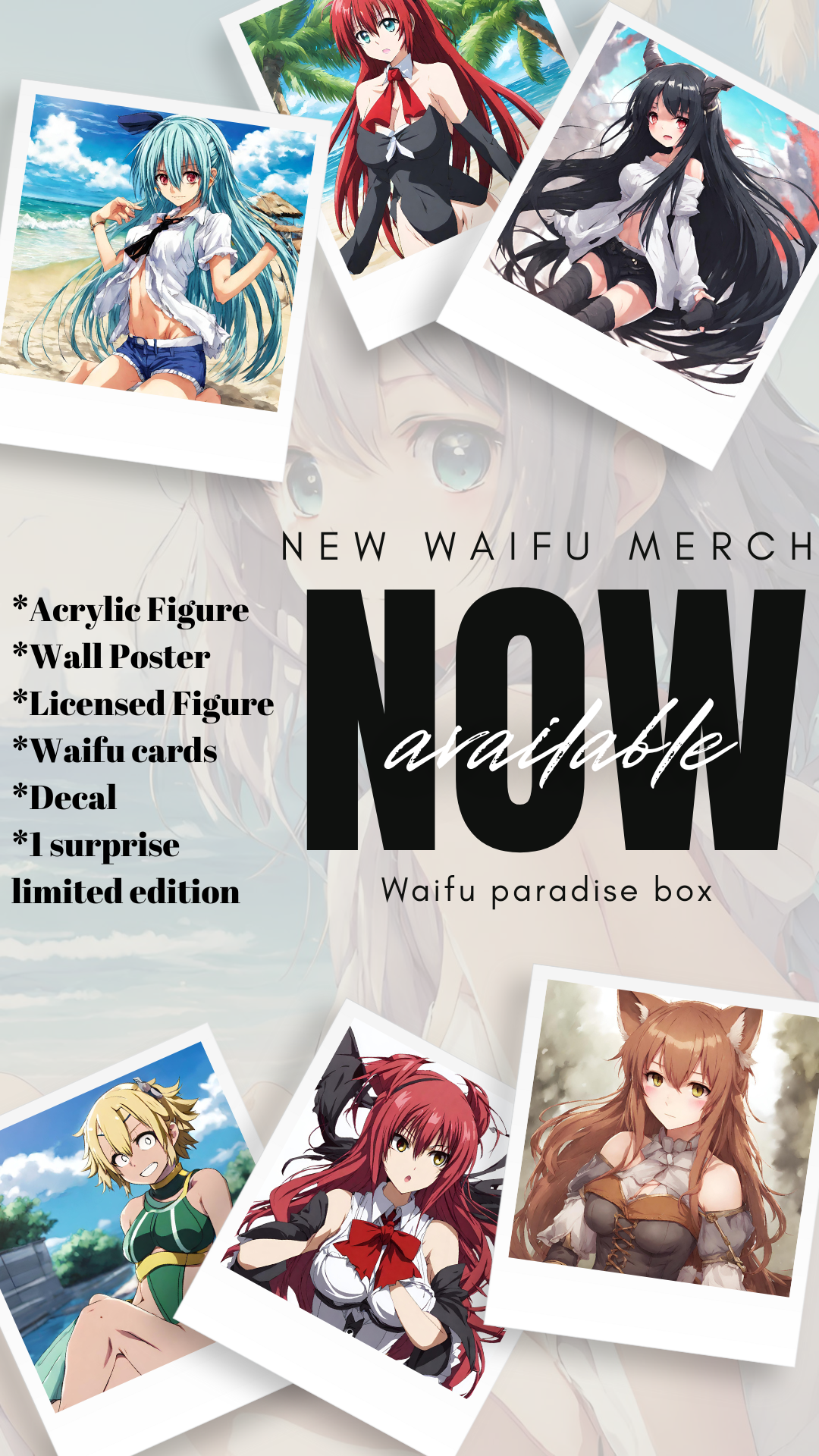 Waifu Paradise Box