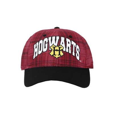 Harry Potter Hogwarts SnapBack Hat