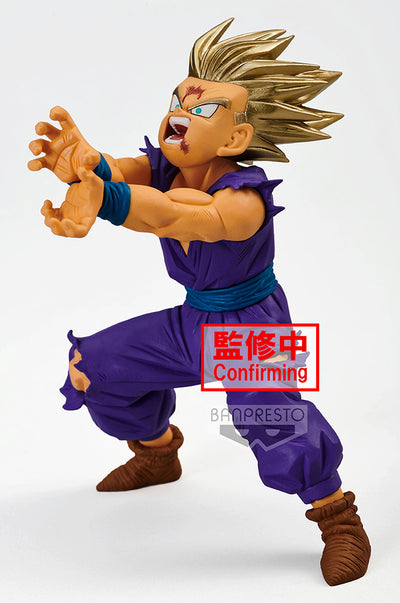 DRAGON BALL Z BLOOD OF SAIYANS-SPECIAL XI