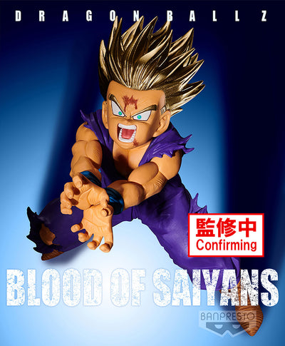 DRAGON BALL Z BLOOD OF SAIYANS-SPECIAL XI