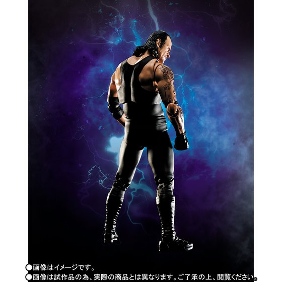 WORLD WRESTLING ENTERTAINMENT (WWE) - Undertaker Limited Edition [SH Figuarts]